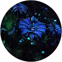 Monica Nayyar profile picture